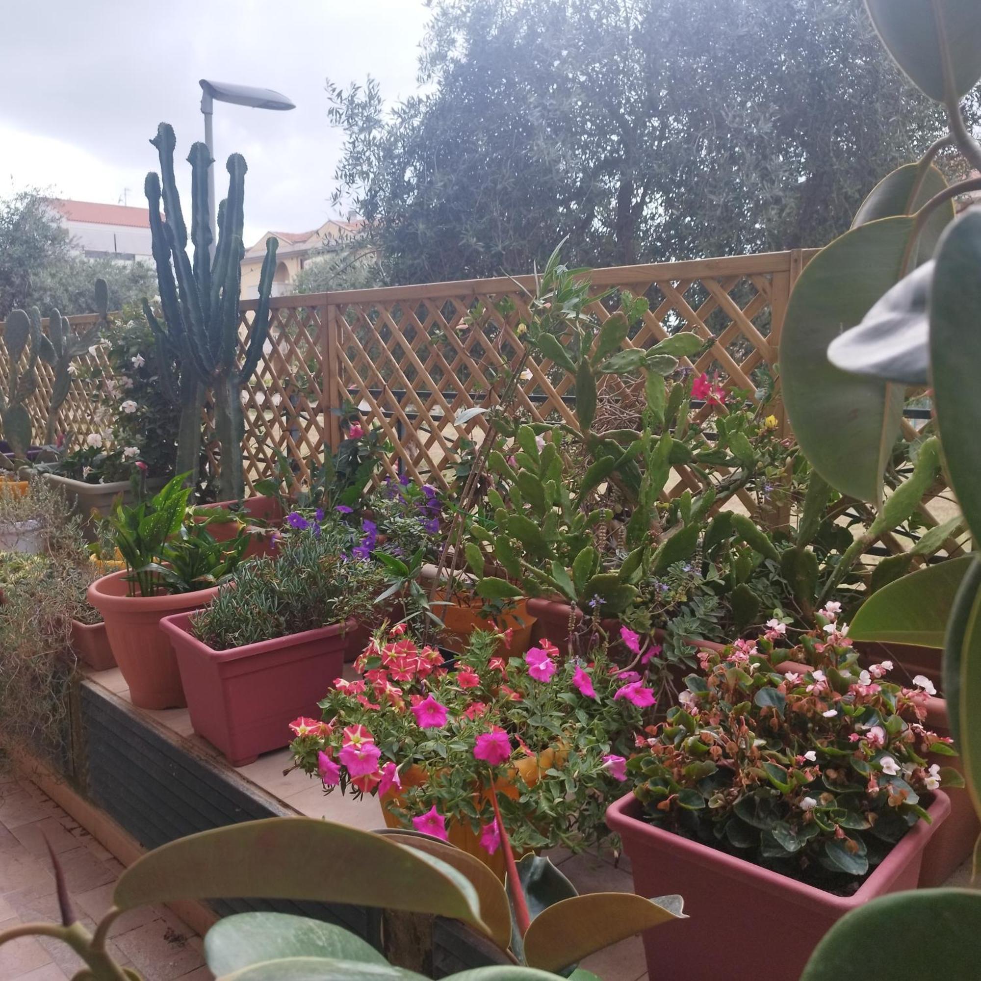 Alghero Lovely Flat Apartman Kültér fotó
