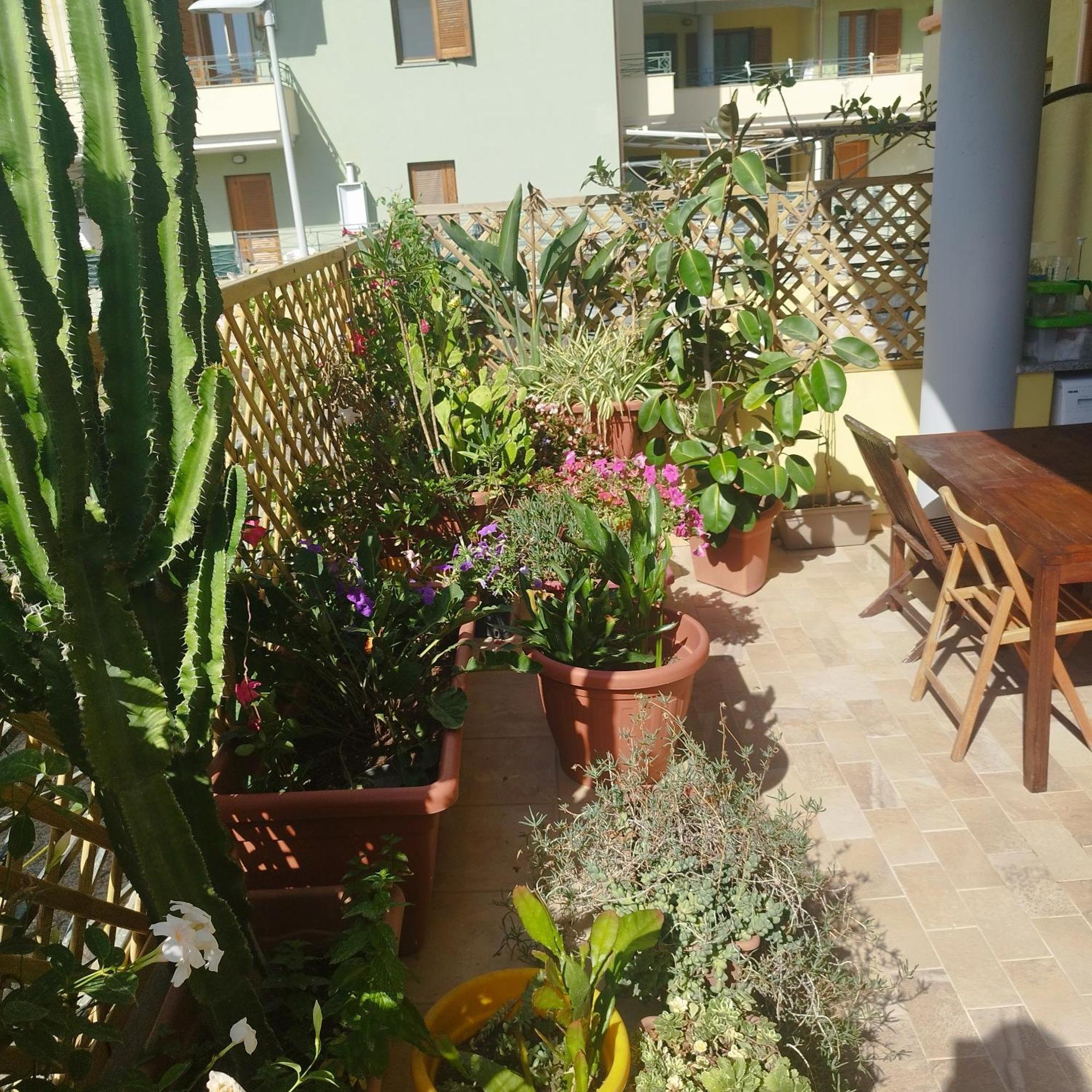 Alghero Lovely Flat Apartman Kültér fotó